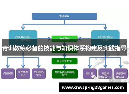 青训教练必备的技能与知识体系构建及实践指导