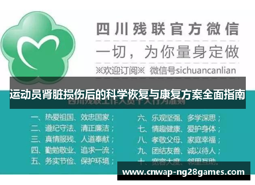 运动员肾脏损伤后的科学恢复与康复方案全面指南 运动员肾脏损伤后的科学恢复与康复方案全面指南