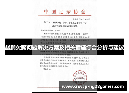 赵鹏欠薪问题解决方案及相关措施综合分析与建议 赵鹏欠薪问题解决方案及相关措施综合分析与建议
