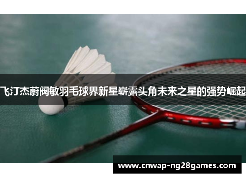 飞汀杰蔚阀敏羽毛球界新星崭露头角未来之星的强势崛起